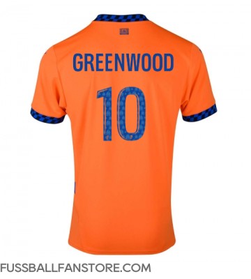 Olympique de Marseille Mason Greenwood #10 Replik 3rd trikot 2024-25 Kurzarm